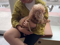 -芭比堂动物医院·CT·微创中心(新顺分院)