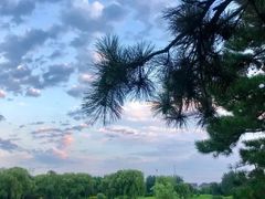 -万柳高尔夫俱乐部