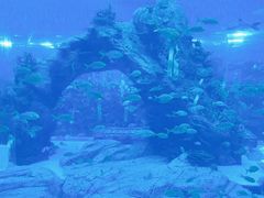 -石家庄极地海洋世界