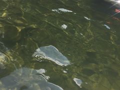 -安吉龙王山峡谷漂流