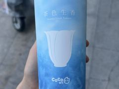 -CoCo都可(濮院齐宏路店)