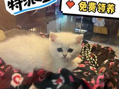 -万达广场(松江店)