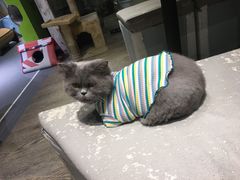 -小时光咖啡馆(开森度假森林店)