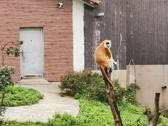 -上方山森林动物世界