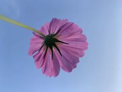 -钟山体育运动公园