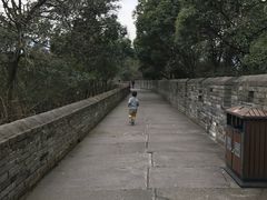 长城-台州府城(江南长城)