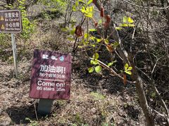 -百里山水画廊乌龙峡谷