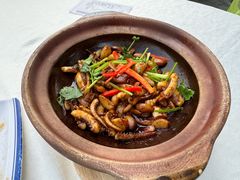 -五谷芳乳鸽王(梅沙老店)