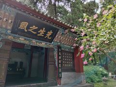-武侯墓风景区