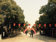 -溱湖国家湿地公园