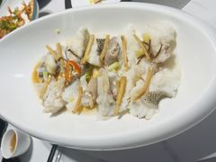 -滋粥楼·顺德菜(番禺广场总店)
