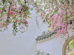 -深圳国际园林花卉博览园