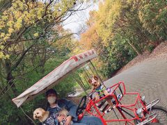 -上海海湾国家森林公园