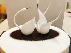 -BLACKSWAN黑天鹅(环球店)