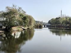 -溱湖国家湿地公园