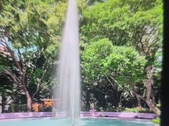 -九龙公园