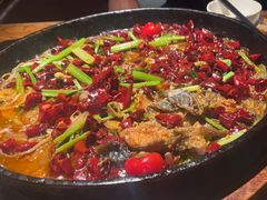 -老板恋上鱼(高新万达店)