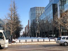 -北海道厅旧本厅舍(旧本庁舎)