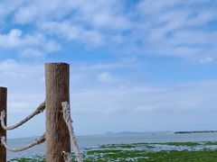 -莆田湄洲妈祖祖庙