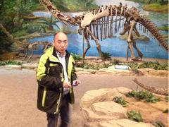 -自贡恐龙博物馆