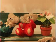 -济州岛泰迪熊博物馆