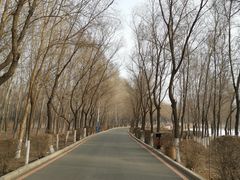 -丁香湖公园
