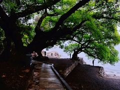 -抚仙湖禄充风景区