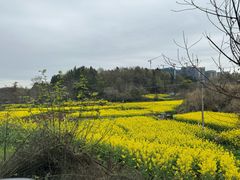 -三岔湖景区