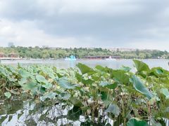 -长春市南湖公园