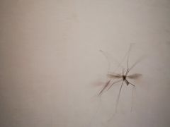 -樱桃山旅游景区