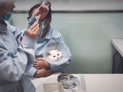 -纳吉亚猫专科动物医院博雅分院