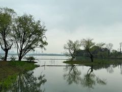 -渤公岛生态公园