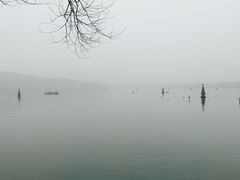 -西湖外事游船(花港观鱼码头)