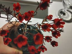 -旺顺阁鱼头泡饼(常营店)