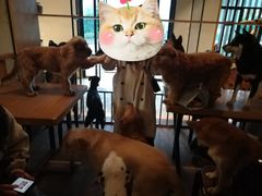 -萌喵咖啡屋(人民东路4号口M16商铺店)