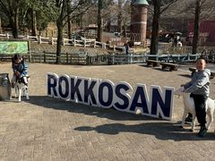 -神户市立六甲山牧场