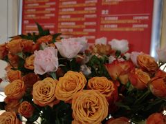 -川匠·睡眠采耳·SPA(九眼桥店)