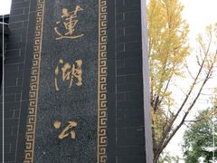 -莲湖公园