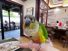 -观桥阁(锦溪店)