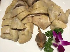 白切鸡-南园酒家(前进路店)