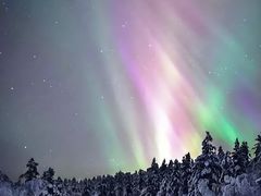 -北极村旅游风景区