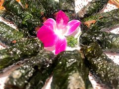 -老友王·南宁特色菜(金汇如意坊店)