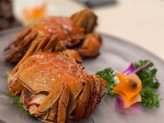 -王宝和酒家(黄浦店)