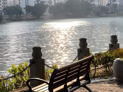 -三垟湿地