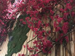 -甜阿姨·天台花园私房菜(万松园店)