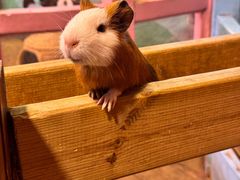 -正佳雨林生态植物园
