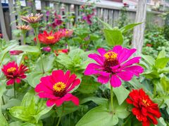 -白河湾山水缘民宿