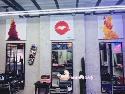 -SALON V
