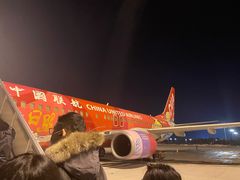 -威海大水泊国际机场