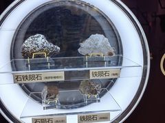 -上海儿童博物馆